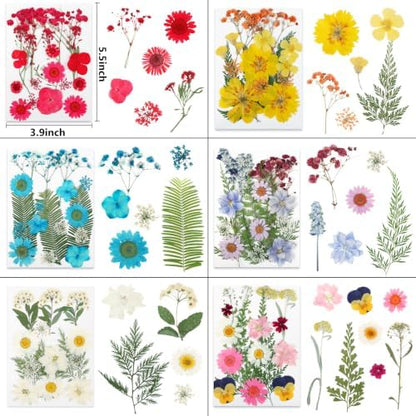 428 Pcs Dried Pressed Flowers for Resin,Real Nature Dried Flowers for Craft - Image 2