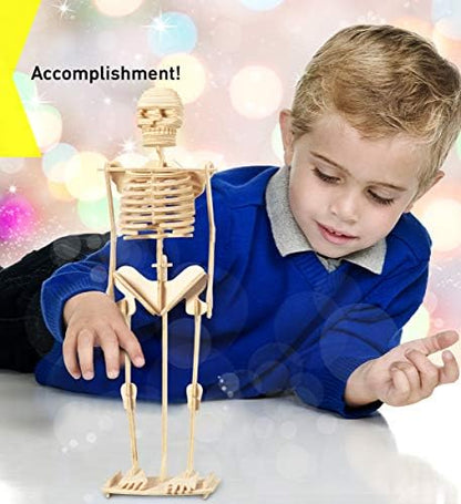 Puzzled 3D Puzzle Human Skeleton Wood Craft Construction Model Kit, Fun & Educational DIY Wooden Toy Assemble Model Unfinished Crafting Hobby Puzzle to Build & Paint for Decoration 50 Pieces Pack - Image 6