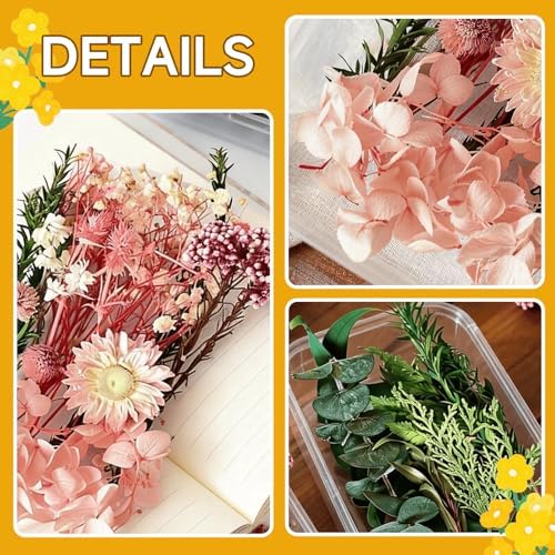 2PCS Dried Flowers Kit, Natural Dried Flowers Kit for DIY Crafts, Scrapbook, Card Making (Stye2_13) - Image 4