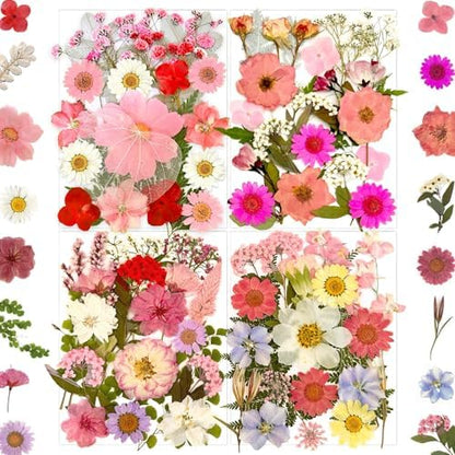 MIKIYA 90Pcs Pink Dried Pressed Flowers for Resin Molds, Assorted Real Natural Bulk Dry Floral Leaves for DIY Art Crafts, Epoxy Jewelry, Candle, Soap Making, Nails Decors Gifts by MIKIYA
