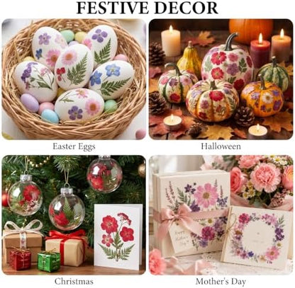 412 Pcs Dried Flowers for Crafts,Real Nature Dried Flowers for Resin - Image 7