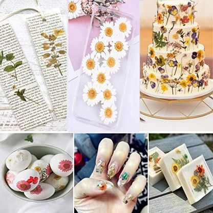 150PCS Red Dried Pressed Flowers with Butterfly Stickers - YouthBro Real Nature Flowers Herb Set for Resin DIY Jewelry Candle Soap Vase Making Nail Card Scrapbook Art Craft Floral Decors - Image 6