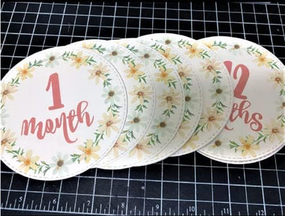 Big Round Cutting Dies Handmade DIY Paper Cards Album Decoration Stencils Template Embossing for Card Scrapbooking Craft Circle - Image 2