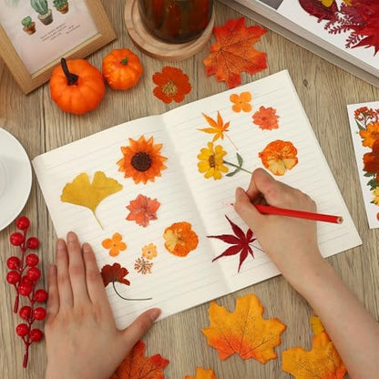 100 PCS Real Fall Dried Pressed Flowers Leaves Fall Natural Dried Flowers Leaves Kit Autumn Pressed Dry Flower Leaf Set for Scrapbooking DIY Art Craft Resin Jewelry Molds Candle Soap Making Nail Decor - Image 7
