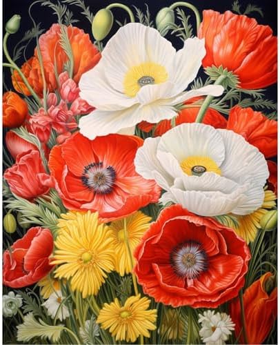 xcemhil Flowers Paint by Number Kit for Adults, Poppy Paint by Numbers Kit, Adult Paint by Number Kits on Canvas for Gift Home Wall Decor 16x20in by Unknown