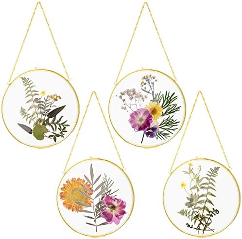8 Inch 4 Pcs Pressed Flower Frames Double Glass Frame Wall Decor, Gold by Qunclay