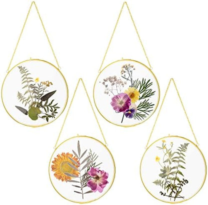 8 Inch 4 Pcs Pressed Flower Frames Double Glass Frame Wall Decor, Gold by Qunclay