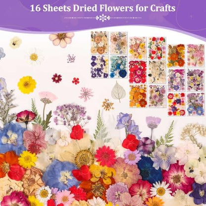 Evatage 480 Pcs Real Dried Pressed Flowers for Resin Crafts - Image 3