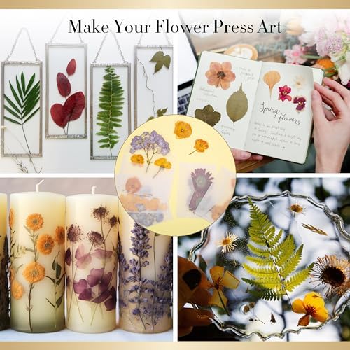 Aboofx Flower Press Kit for DIY Journal Bookmark Frame, 10" x 10" 10 Layers Wood Flower Pressing Kit with Storage Bags for Dried Flowers Plant Wedding Bouquet Preservation Kits, Gift for Craft Lovers - Image 5