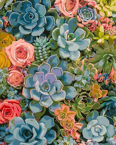DOTSTART Paint by Numbers Kit for Adults,Colorful Succulents Plants Paint by Number for Adults,Acrylic Adults' Paint-by-Number Kits, Easy Paint by Number Adult Canvas for Home Art Decor, 16X20 inch by Unknown