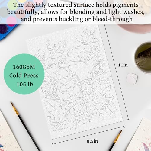 Kalysky 8.5 * 11" Watercolor Workbook,3 Watercolor Coloring Books for Adults,Water Color Book kit for Adults Beginner,160GSM Cold Press Textured Thick Paper - Image 5