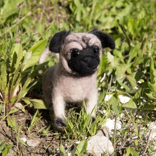 Wizardi Beginner Needle Felting Kit for Adults - Pugdog. Animal Felting Kit 5.12x5.71 Inches. Felting Tools. Wool Felting Supplies. Felt Crafts. Wool Felt. V-149C Charivna Mit by Wizardi