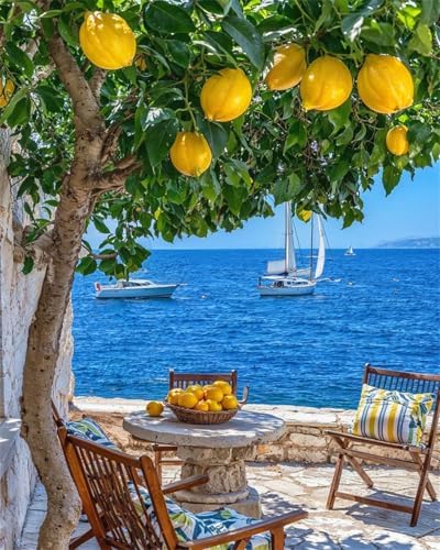 ZRIZQ Landscape Paint by Numbers Kit for Adults Beginner,Lemon Tree,16x20 by ZRIZQ