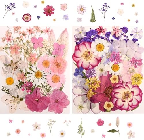 182 PCS Real Pressed Dried Flowers and Leaves for DIY Crafts - Image 5