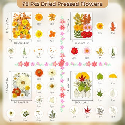 Dried Pressed Flowers for Resin Crafts, Real Dried Flowers and Leaves Kit for Resin Jewelry Molds, Candle & Soap Making, Scrapbooking DIY, Nail Art (Yellow, Orange) - Image 2