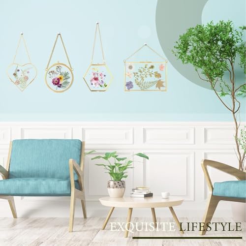 Pressed Flower Frames, Double Glass Hanging Picture Frames 6PCS - Image 3