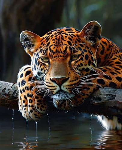 Animal Paint by Numbers Kit for Adults Leopard Paint by Numbers, DIY Acrylic Watercolor Oil Painting Kits for Adults Beginners with Brushes, Hobbies for Women for Home Wall Decor, Gifts 12x16 in 0-52 by Unknown