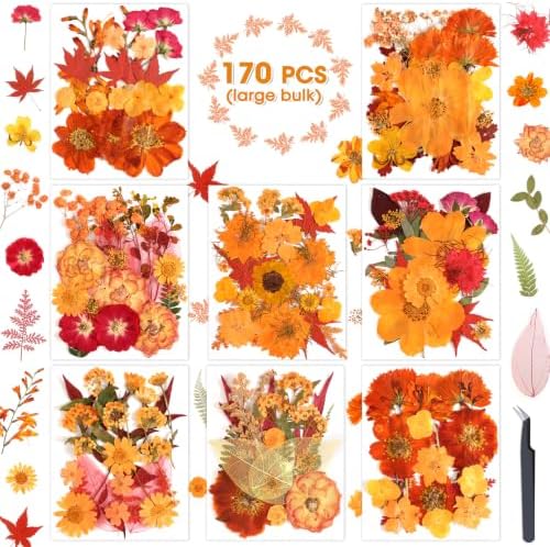 170 PCS Fall Dried Pressed Flowers with Tweezers, Real Nature Dried Flowers Orange Autumn Pressed Florals Set for Resin Scrapbooking Vase Candle Making Card Scrapbook Craft Floral Decors by Cruzix