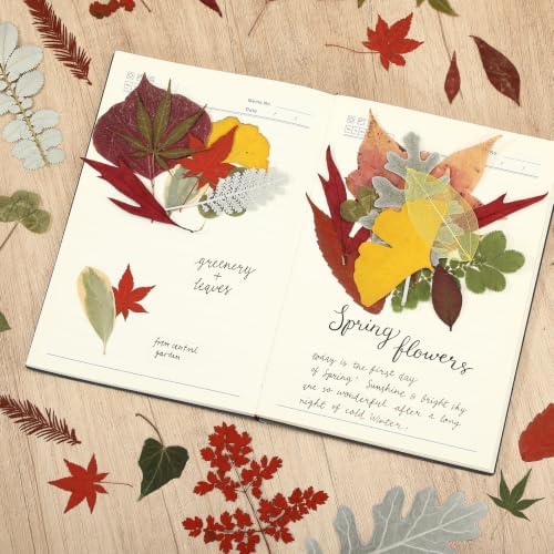 Timtin 84 Pcs Dried Pressed Leaves Flowers for Resin, Fresh - Image 6