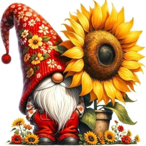 DYAIANGMU Gnome Stamped Cross Stitch Kit for Adults 13.7x13.7 inches by Unknown