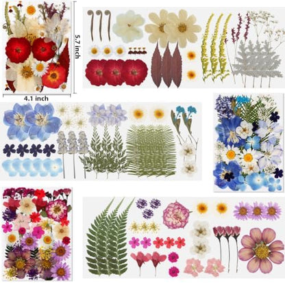 105 Pcs Dried Pressed Flowers for Resin,Bulk Natural Real Dried Flowers - Image 2