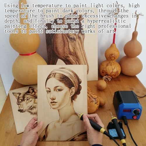 FIRElood LH55-1 wood burning kit,wood burning tool,digitally adjustable temperature wood burner kit,professional wood burner tool kit for adults beginners craft,pyrography pen (LH55-A pen) - Image 5