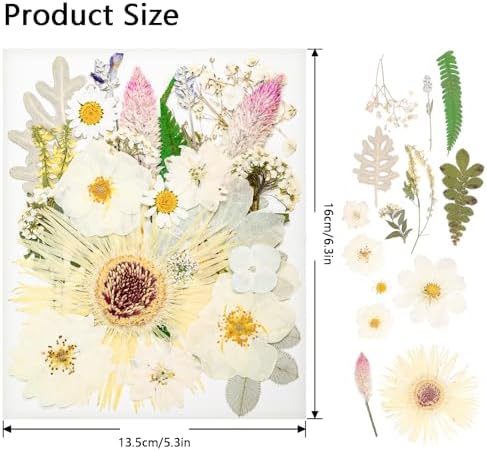 50Pcs Dried Pressed Flowers Real Pressed Flowers Natural Dry Leaves Bulk Mixed Colorful Herbs Kit with Tweezers for Scrapbooking DIY Candle Jewelry Crafts Making Nails (White) - Image 2