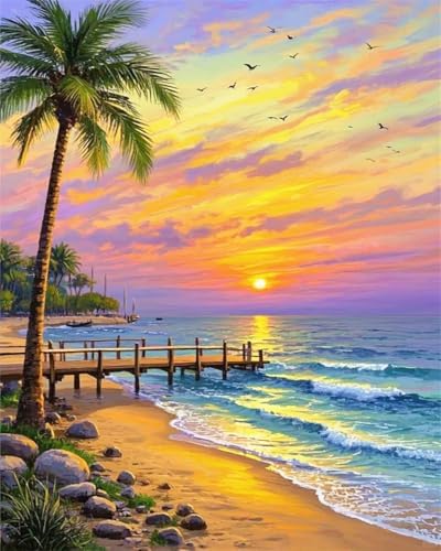 ZRIZQ Beach Paint by Numbers Kit for Adults Beginner,Sunset,16x20 by ZRIZQ