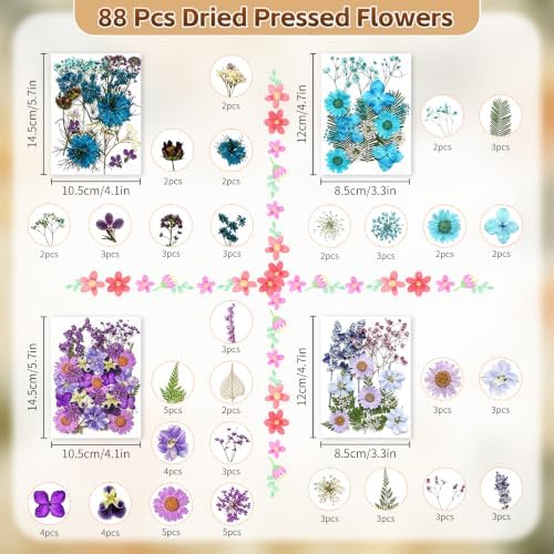 Dried Pressed Flowers for Resin Crafts, Real Dried Flowers and Leaves Kit for Resin Jewelry Molds, Candle & Soap Making, Scrapbooking DIY, Nail Art (Purple, Blue) - Image 2