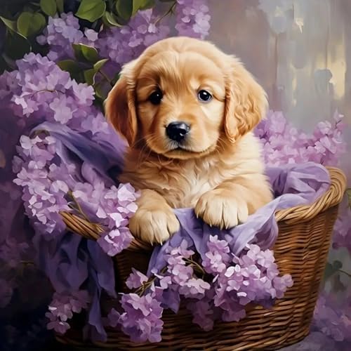 5DDIYART Dog Flowers Paint by Numbers for Adults Beginner, Paint by Number Kits on Canvas, Easy Acrylic Painting Home Wall Decor 15.7x15.7 inch by Unknown