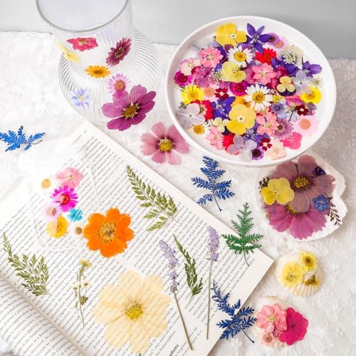 Dried Pressed Flowers Real Pressed Flowers Natural Dry Leaves Bulk Mixed Colorful Herbs Kit with Tweezers for Scrapbooking DIY Candle Jewelry Crafts Making Nails - Image 3