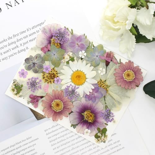 40PCS Real Nature Dried Pressed Flowers for Resin Mold, Dry Pressing Floral with Butterfly Transparent Stickers Set for DIY Jewelry Card Scrapbook Art Craft Decors - Image 5