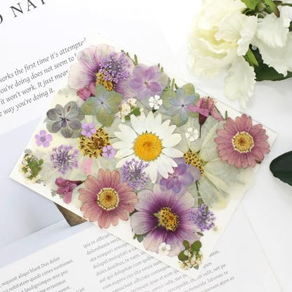 40PCS Real Nature Dried Pressed Flowers for Resin Mold, Dry Pressing Floral with Butterfly Transparent Stickers Set for DIY Jewelry Card Scrapbook Art Craft Decors - Image 5