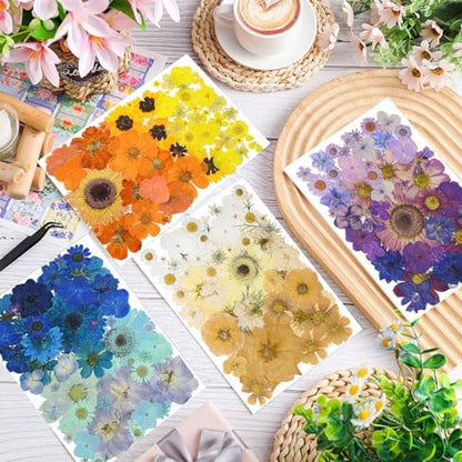 Nuanchu 200 Pcs Pressed Flowers Bulk Dried Flower for Craft Resin Mold Bookmark Scrapbooking Nail Cake White Orange Natural Pressed Dried Floral with Tweezer DIY Gift(Bright Color,Natural Style) - Image 4