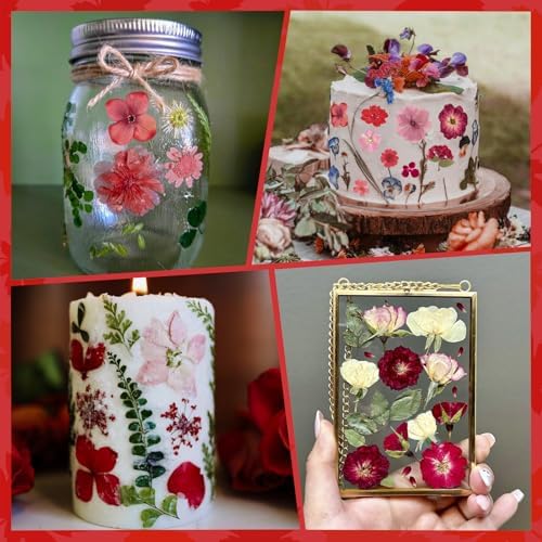 101 PCS Red Dried Pressed Flowers for Christmas Crafts Resin, Red Real Nature Flowers Bulk for DIY Holiday Cake Card Scrapbook Supplies, Large Dried Flowers for Soap Candle Making - Image 4