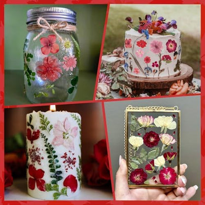 101 PCS Red Dried Pressed Flowers for Christmas Crafts Resin, Red Real Nature Flowers Bulk for DIY Holiday Cake Card Scrapbook Supplies, Large Dried Flowers for Soap Candle Making - Image 4