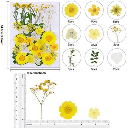 Augshy Dried Pressed Flowers - Real Natural Colorful Dry Flowers for Resin Jewelry Nail Art Craft DIY (Yellow) - Image 2