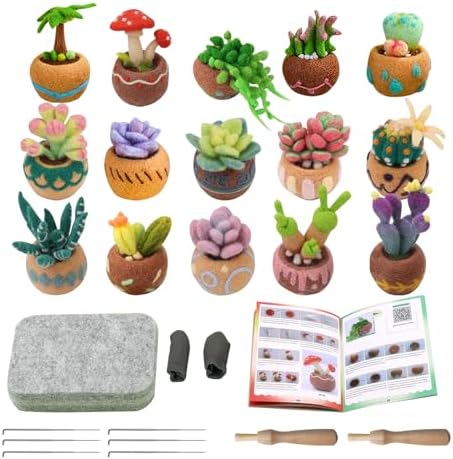 15 Pieces Succulent Plants Needle Felting Kit, Wool Felting Kit with Pad, Finger Cots, Needle, Wooden Felting Tool, Instruction, Needle Felt Start Kit Supplies for Beginners Adult DIY (15 Pieces) by Roucerlin