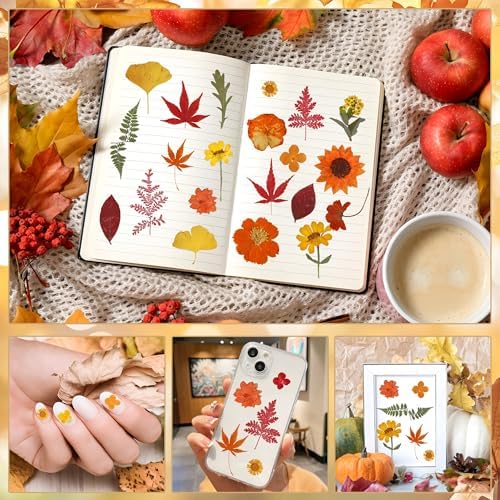 100 PCS Real Fall Dried Pressed Flowers Leaves Fall Natural Dried Flowers Leaves Kit Autumn Pressed Dry Flower Leaf Set for Scrapbooking DIY Art Craft Resin Jewelry Molds Candle Soap Making Nail Decor - Image 4
