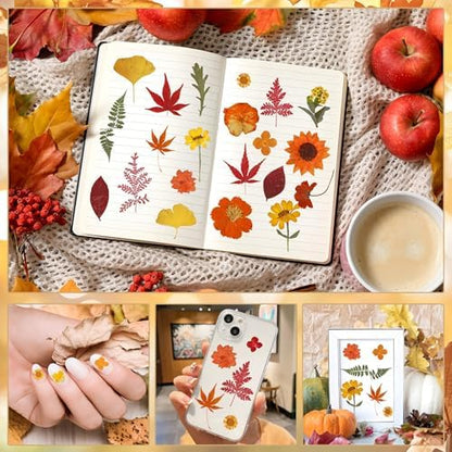100 PCS Real Fall Dried Pressed Flowers Leaves Fall Natural Dried Flowers Leaves Kit Autumn Pressed Dry Flower Leaf Set for Scrapbooking DIY Art Craft Resin Jewelry Molds Candle Soap Making Nail Decor - Image 4