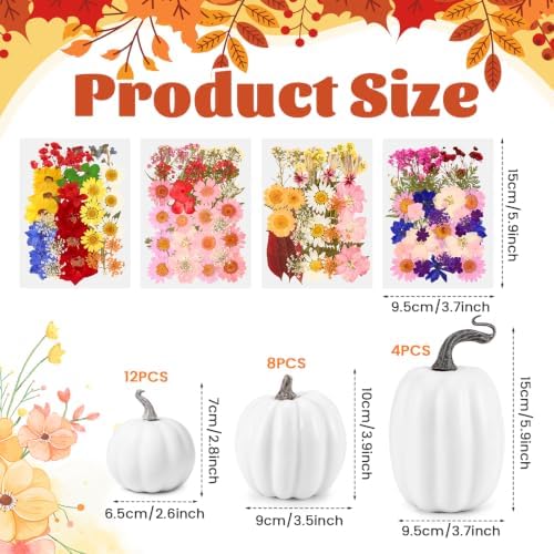 Pinkunn 24 Pcs Artificial Pumpkin and 140 Pcs Dried Flowers, White - Image 2