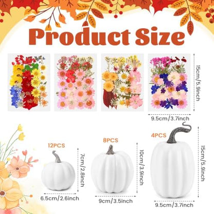 Pinkunn 24 Pcs Artificial Pumpkin and 140 Pcs Dried Flowers, White - Image 2