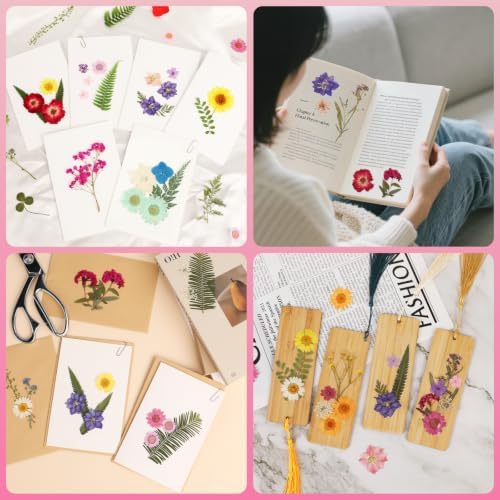 210 Pcs Dried Pressed Flowers for Resin,Real Nature Dried Flowers for Craft - Image 2