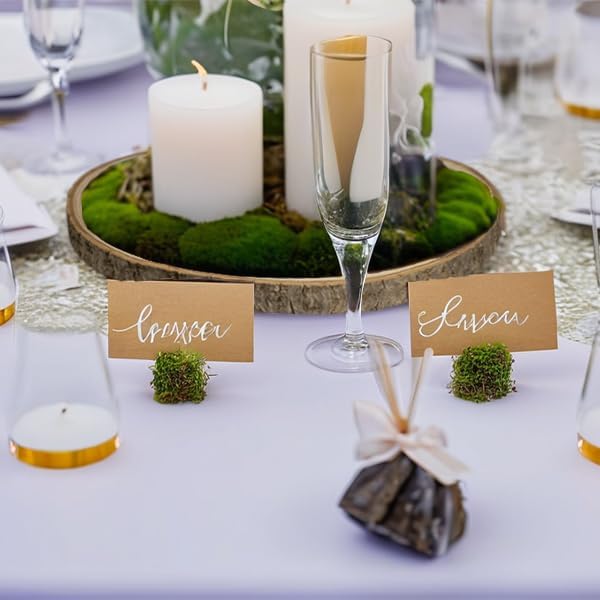 Large Unfinished Wood Slices for Centerpieces 10 Pcs 9-10 inches Natural Wood centerpieces for Tables Table Decor, Rustic Wedding Centerpieces，Wood Rounds for Crafts, and Wooden Christmas Decoration