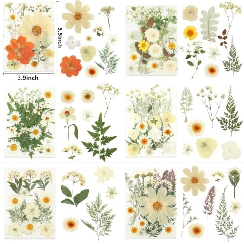 NESCCI 247 Pcs Dried Flowers for Crafts,Real Natural Dried Pressed Flowers - Image 2