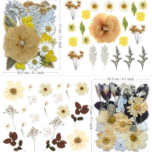 MIKIYA 90Pcs Dried Pressed Flowers for Resin Molds, Vintage White Bulk Real Natural Dry Floral for DIY Art Crafts, Epoxy Jewelry, Candle, Soap Making, Nails Decor, Phone Case - Image 5