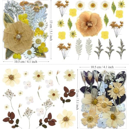 MIKIYA 90Pcs Dried Pressed Flowers for Resin Molds, Vintage White Bulk Real Natural Dry Floral for DIY Art Crafts, Epoxy Jewelry, Candle, Soap Making, Nails Decor, Phone Case - Image 5