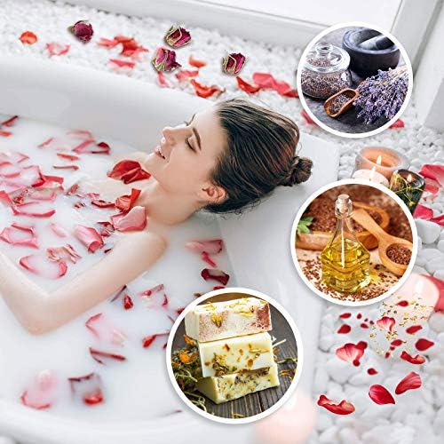 9 Bags Dried Flowers,100% Natural Dried Flowers Herbs Kit for Soap Making, DIY Candle Making,Bath - Include Rose Petals,Lavender,Don't Forget Me,Lilium,Jasmine,Rosebudsand More - Image 6