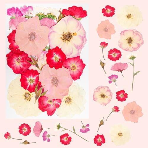 50Pcs Dried Pressed Flowers Real Pressed Flowers Natural Dry Leaves Bulk Mixed Colorful Herbs Kit with Tweezers for Scrapbooking DIY Candle Jewelry Crafts Making Nails (Pink) - Image 6