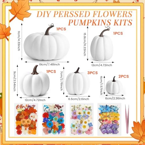Canlierr 8 Pcs Large Craft Pumpkins & 150 Dried Flower, White - Image 2